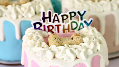 Dog Cakes | Dog Birthday Cakes | Drip Cake