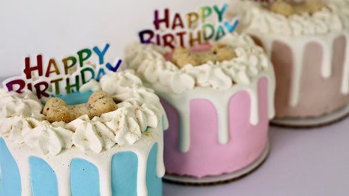 Dog Cakes | Dog Birthday Cakes | Drip Cake