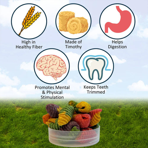 Exotic Nutrition Crunchy Swirls Small Animal Treats