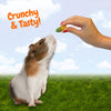 Exotic Nutrition Crunchy Swirls Small Animal Treats