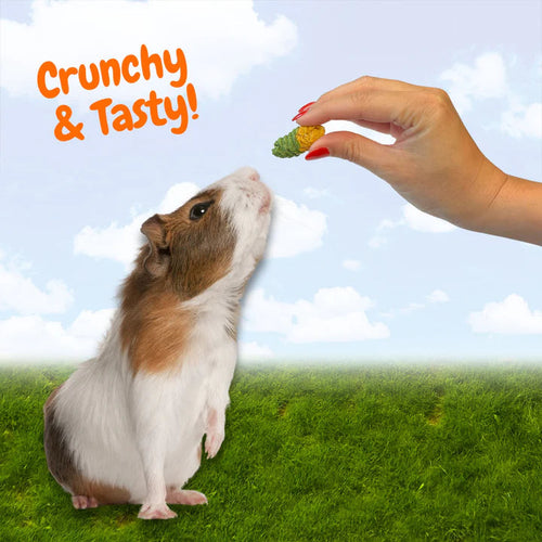 Exotic Nutrition Crunchy Swirls Small Animal Treats