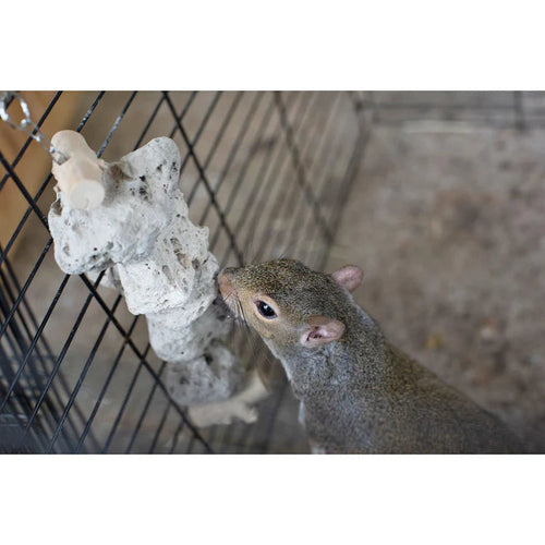 Exotic Nutrition Pumice Chew Dangle Small Animal Toys