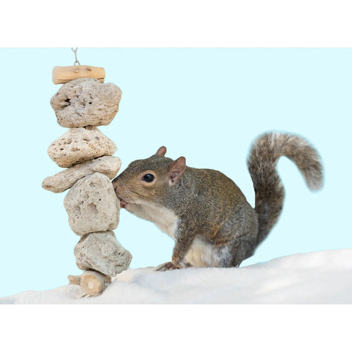 Exotic Nutrition Pumice Chew Dangle Small Animal Toys