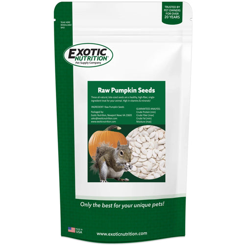 Exotic Nutrition Pumpkin Seeds Treats