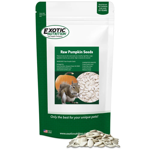 Exotic Nutrition Pumpkin Seeds Treats