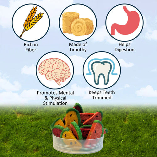 Exotic Nutrition Watermelon Wedges Small Animal Treats