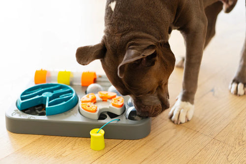 Messy Mutts Flip'n Slide Puzzler Dog Puzzle - Garden State Pet Center