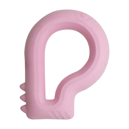 Snugarooz Floating Dino Dog Toy
