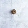 Earthborn Holistic Grain Free Wild Sea Catch™ Dry Cat Food - Garden State Pet Center