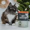 Petcurean Go! Solutions Booster Shredded Chicken + Duck in Broth for Weight Management Wet Cat Food