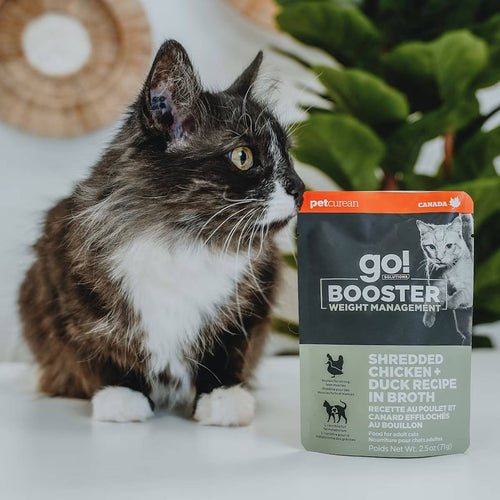 Petcurean Go! Solutions Booster Shredded Chicken + Duck in Broth for Weight Management Wet Cat Food