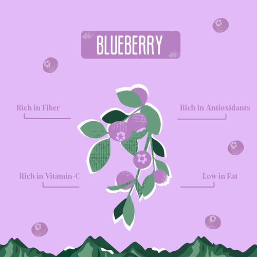 Yak9 Blueberry Cheese Chews for Dogs