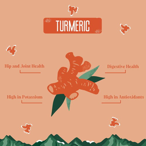 Yak9 Turmeric Cheese Chews for Dogs