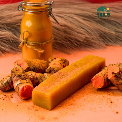 Yak9 Turmeric Cheese Chews for Dogs