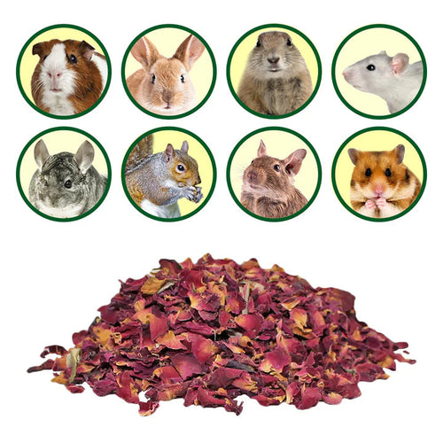Exotic Nutrition Rose Petals & Buds Treat