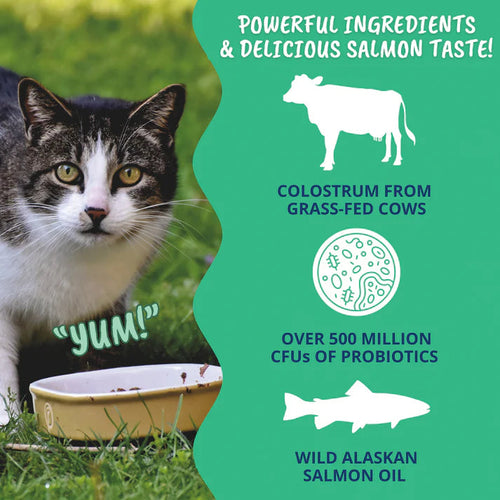 Under the Weather Pet 3-in-1 Vital Colostrum Gel for Cats