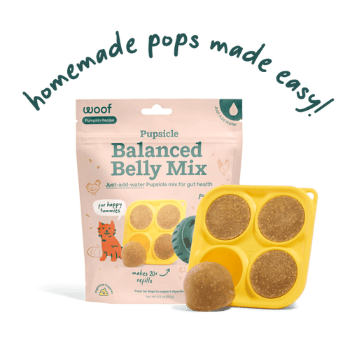 Woof Balanced Belly Pupsicle Mix for dogs with gut health support and digestive benefits.