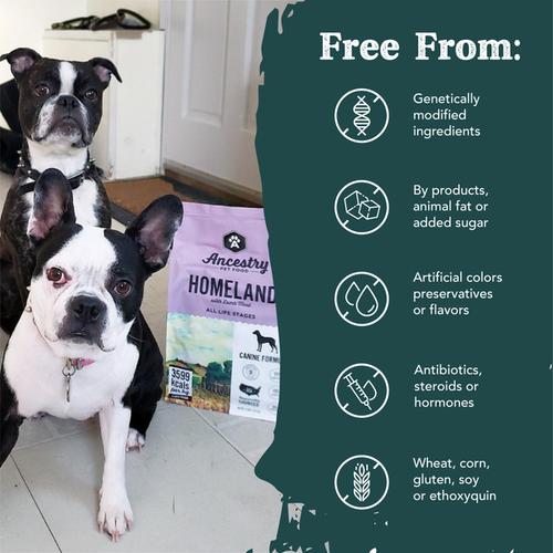 Health Extension Ancestry Homeland With Lamb Meal Dog Food