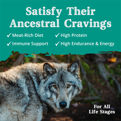 Health Extension Ancestry Homeland With Lamb Meal Dog Food