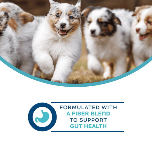 Fromm Digestive Functional Dog Treats Dog Treats