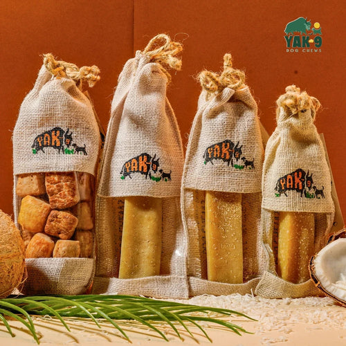 Yak 9 Coconut Cheese Chews for Dogs
