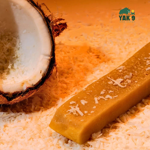 Yak 9 Coconut Cheese Chews for Dogs
