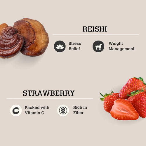 Charmy Pet Reishi & Strawberry Mushroom Bone Broth for Dogs & Cats