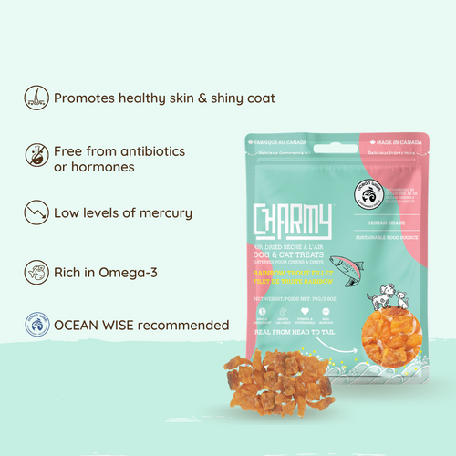 Charmy Pet Rainbow Trout Fillet Dog & Cat Treats
