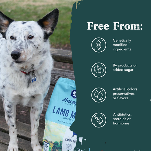 Health Extension Ancestry Lamb Meal With Rice Dry Dog Food