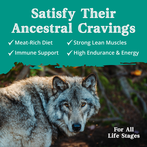 Health Extension Ancestry Lamb Meal With Rice Dry Dog Food