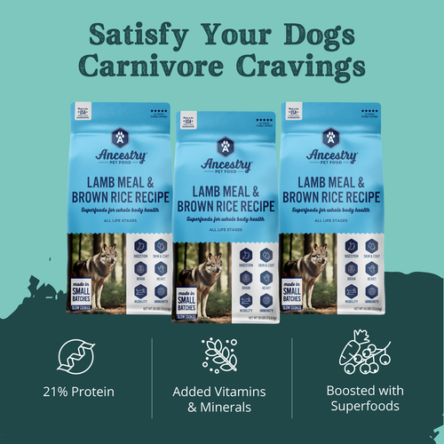Health Extension Ancestry Lamb Meal With Rice Dry Dog Food