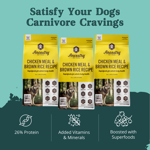 Health Extension Ancestry Chicken Meal and Rice Dry Dog Food