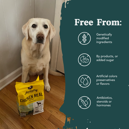 Health Extension Ancestry Chicken Meal and Rice Dry Dog Food