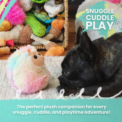 Snugarooz Poptart & Raspberry Dog Toy