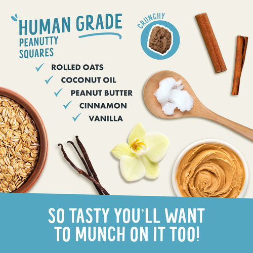 Health Extension Crunchy Munchies Granola Bites-Peanutty Squares Dog Treats