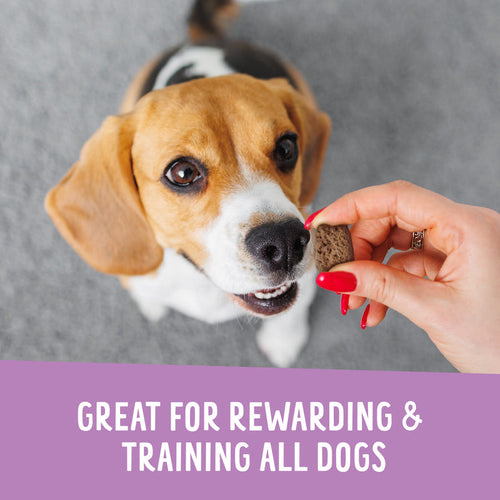 Health Extension Crunchy Munchies Granola Bites-Blueberry Ruffin Dog Treats