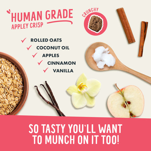 Health Extension Crunchy Munchies Granola Bites-Appley Crisp Dog Treats