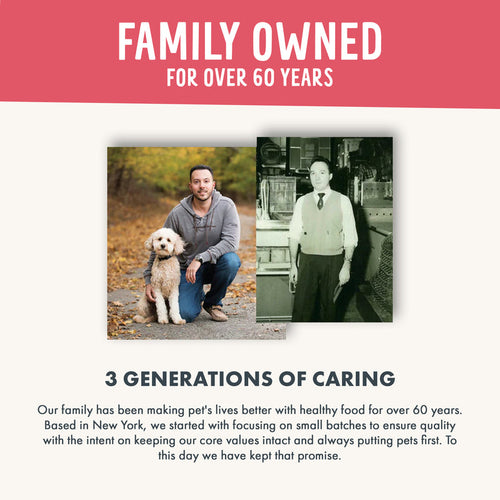 Health Extension Crunchy Munchies Granola Bites-Appley Crisp Dog Treats