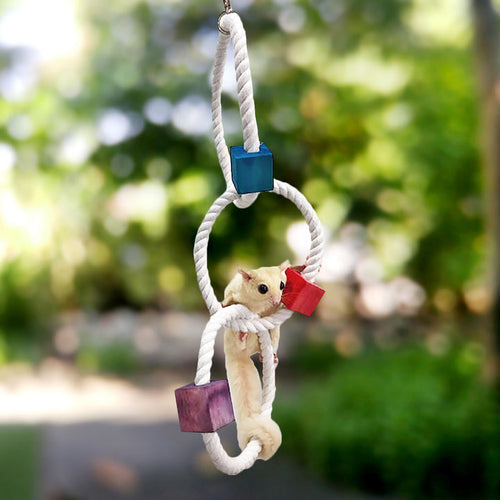 Exotic Nutrition Tri-Hoop