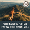 Health Extension Bison & Fish Jerky Dog Treats