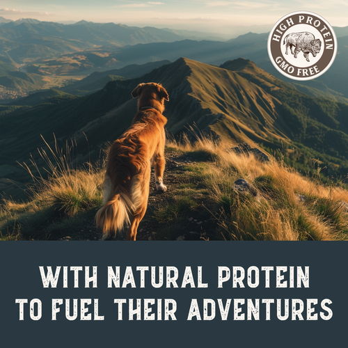 Health Extension Bison & Fish Jerky Dog Treats