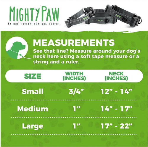 Mighty Paw Nylon Martingale Cinch Collar