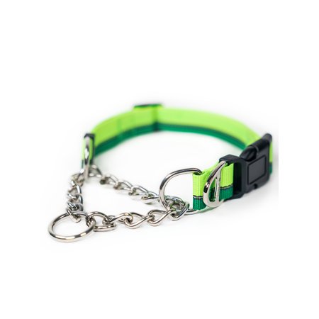Mighty Paw Martingale Dog Collar 2.0 Trainer Approved Limited Slip Collar