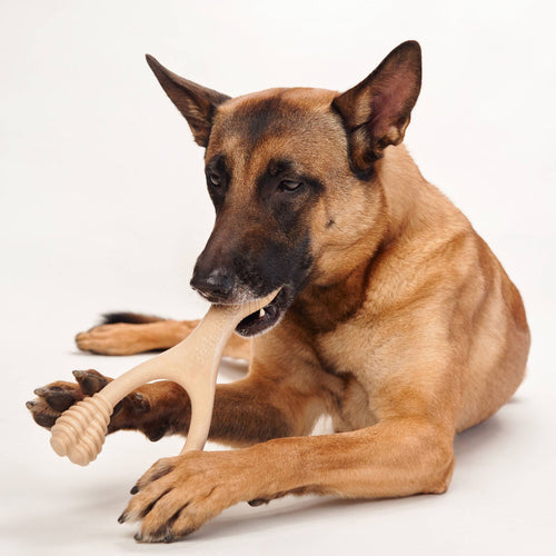 BetterBone Medium Classic - Natural Hypoallergenic
