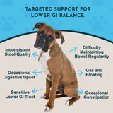 Animal Essentials Colon Rescue Herbal Tonic | Supports Normal Bowel Function