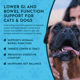 Animal Essentials Colon Rescue Herbal Tonic | Supports Normal Bowel Function