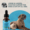 Animal Essentials Colon Rescue Herbal Tonic | Supports Normal Bowel Function