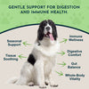 Animal Essentials Licorice Herbal Tonic | Supports Liver, Gut & Immune System