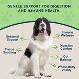 Animal Essentials Licorice Herbal Tonic | Supports Liver, Gut & Immune System