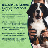 Animal Essentials Licorice Herbal Tonic | Supports Liver, Gut & Immune System